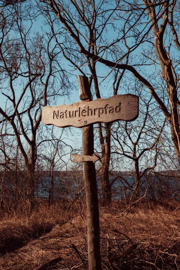 Auszeit Tollensesee Gross Nemerow Bagian luar foto